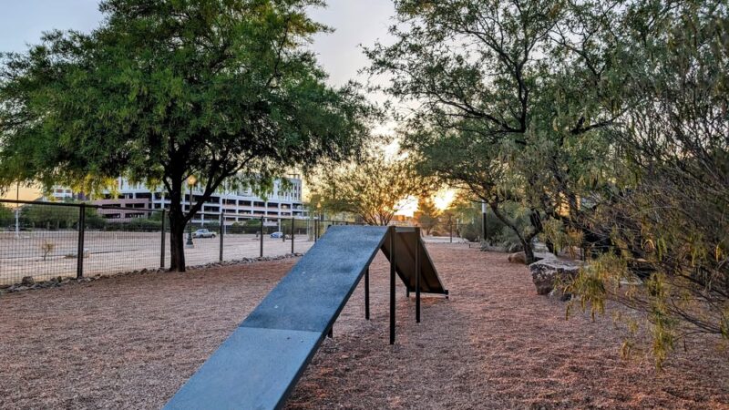 Iron Horse Dog Park - Tucson, AZ