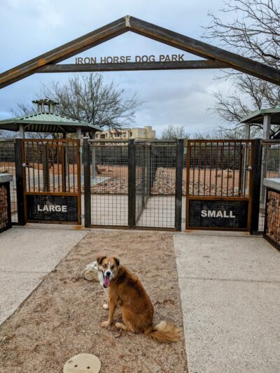 Iron Horse Dog Park - Tucson, AZ