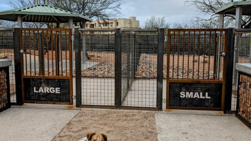 Iron Horse Dog Park - Tucson, AZ