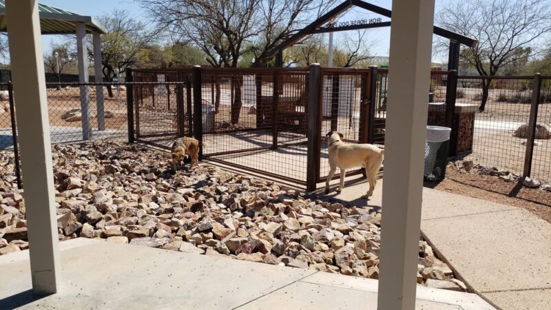 Iron Horse Dog Park - Tucson, AZ
