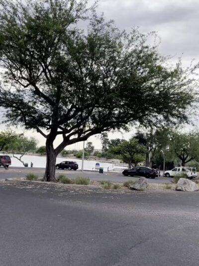 Kennedy Lake - Tucson, AZ