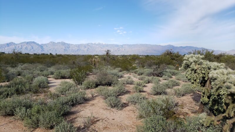Lower Lincoln Park - Tucson, AZ