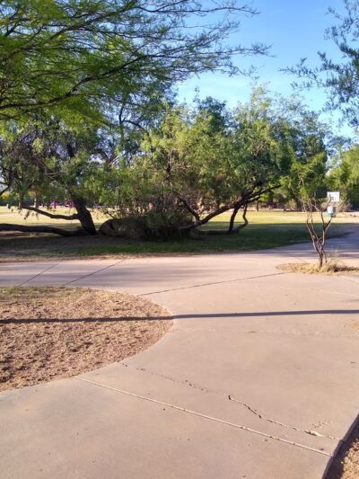 Lower Lincoln Park - Tucson, AZ