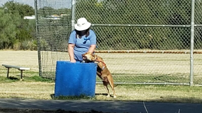 Lower Lincoln Park - Tucson, AZ