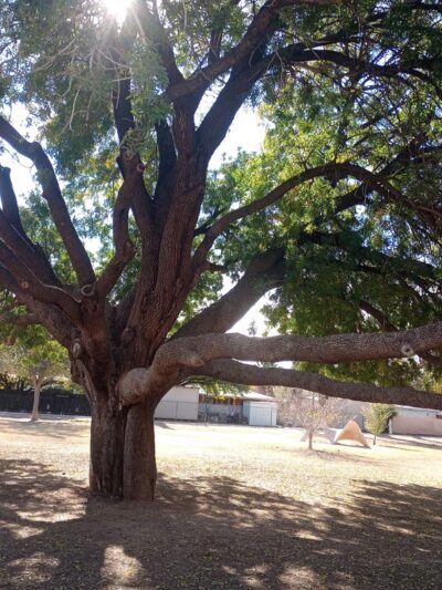 McCormick Park - Tucson, AZ