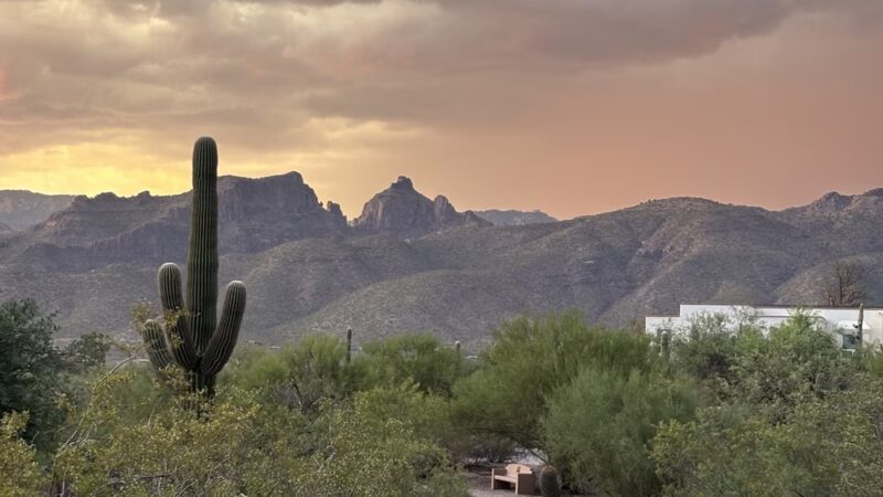McDonald Park - Tucson, AZ