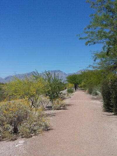 Pantano Wash Path - Tucson, AZ