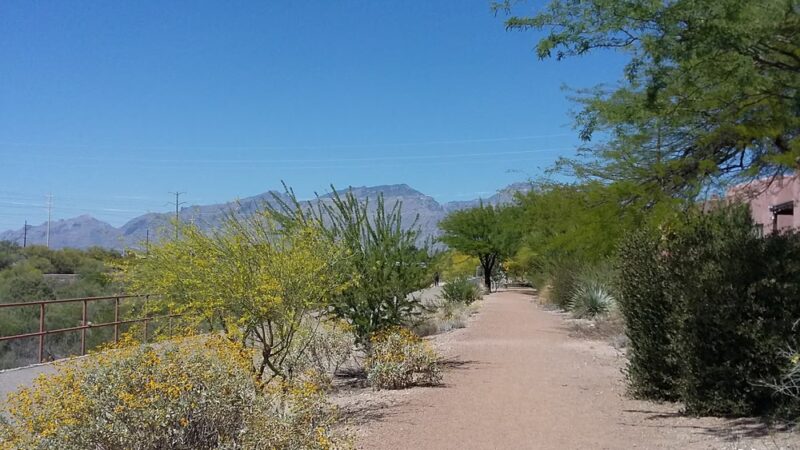 Pantano Wash Path - Tucson, AZ