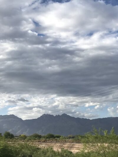 Pantano Wash Path - Tucson, AZ