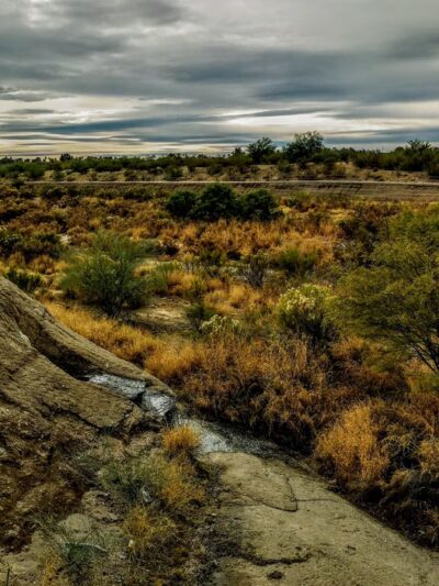 Pantano Wash Path - Tucson, AZ