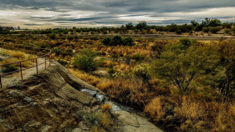 Pantano Wash Path - Tucson, AZ
