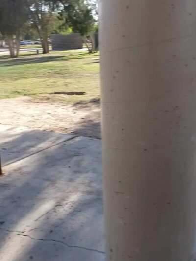 Reid Park Ramada #2 - Tucson, AZ