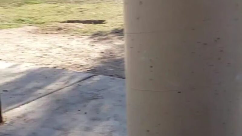 Reid Park Ramada #2 - Tucson, AZ