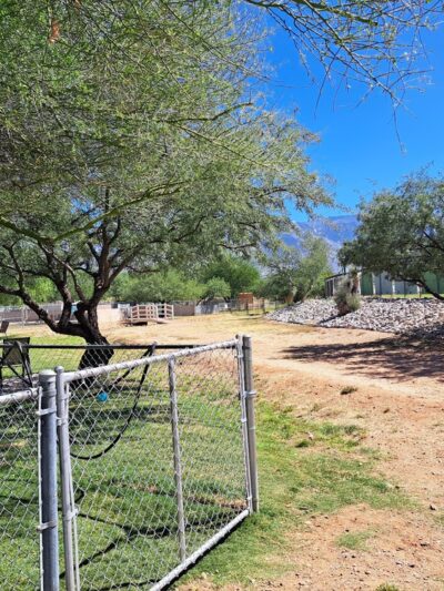 SaddleBrooke Dog Park - Private Community Park - Tucson, AZ