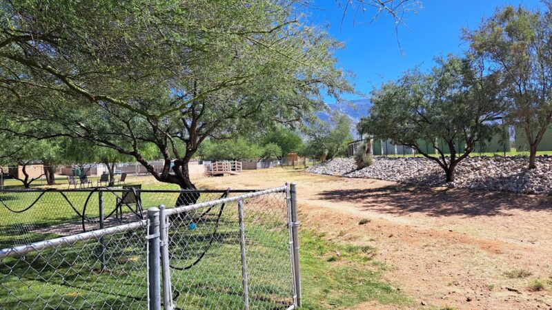 SaddleBrooke Dog Park - Private Community Park - Tucson, AZ