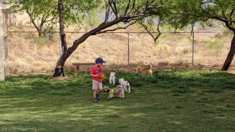 SaddleBrooke Dog Park - Private Community Park - Tucson, AZ