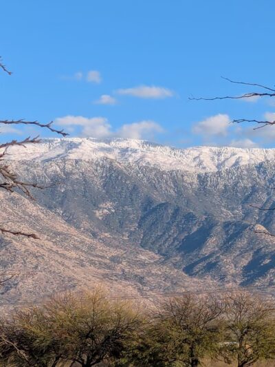 SaddleBrooke Dog Park - Private Community Park - Tucson, AZ