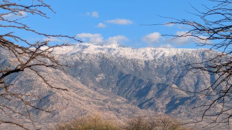 SaddleBrooke Dog Park - Private Community Park - Tucson, AZ