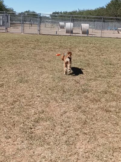 Star Valley Park - Tucson, AZ