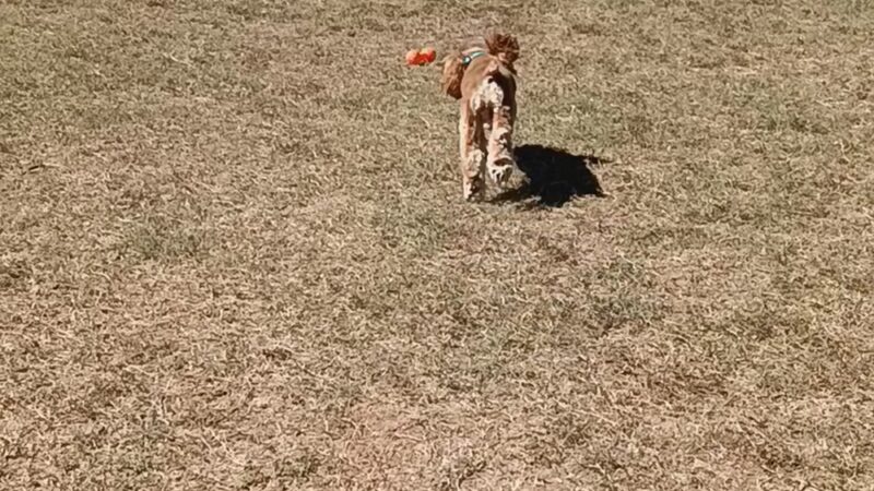 Star Valley Park - Tucson, AZ
