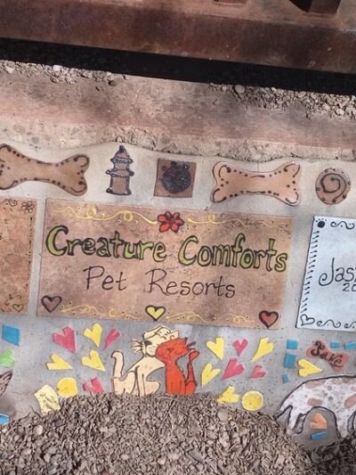 Star Valley Park - Tucson, AZ