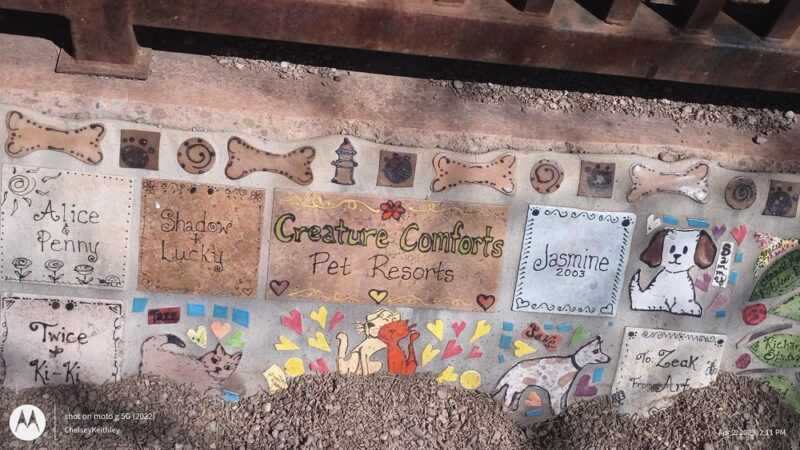 Star Valley Park - Tucson, AZ