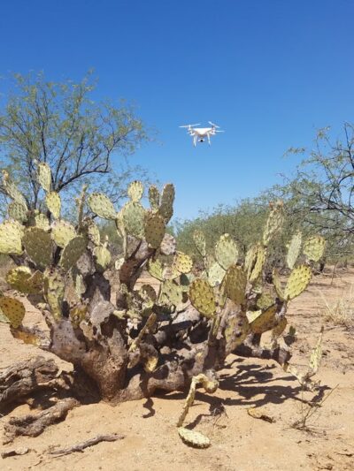 Star Valley Park - Tucson, AZ