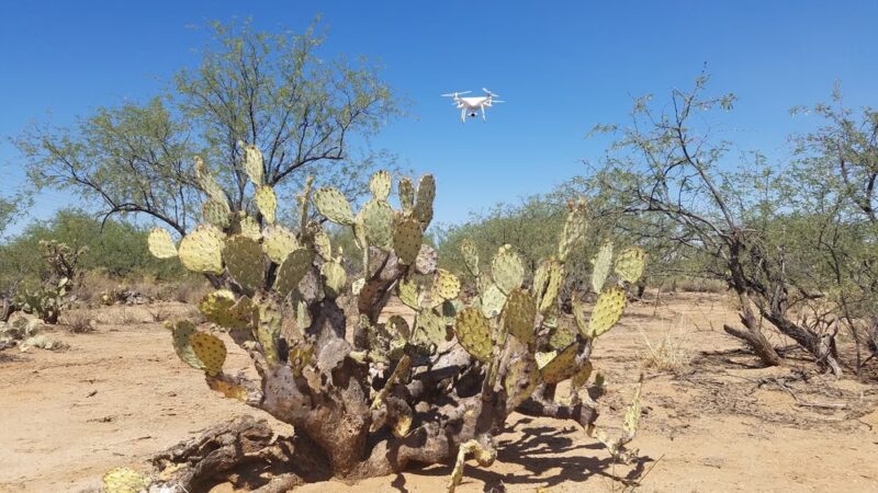 Star Valley Park - Tucson, AZ