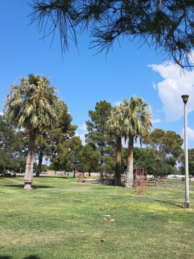 Swan Park - Tucson, AZ