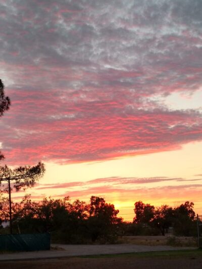 Swan Park - Tucson, AZ