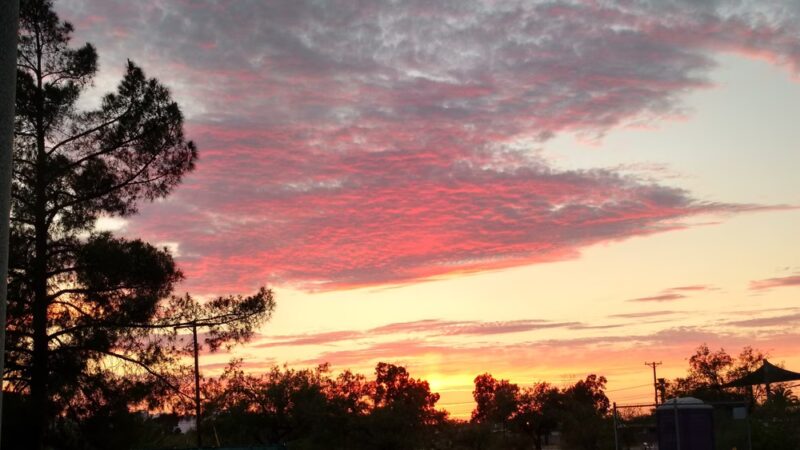 Swan Park - Tucson, AZ