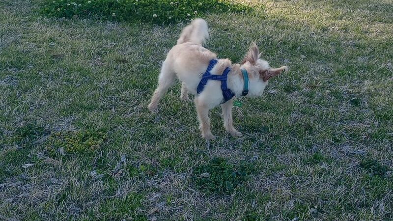 Swan Way Park - Tucson, AZ
