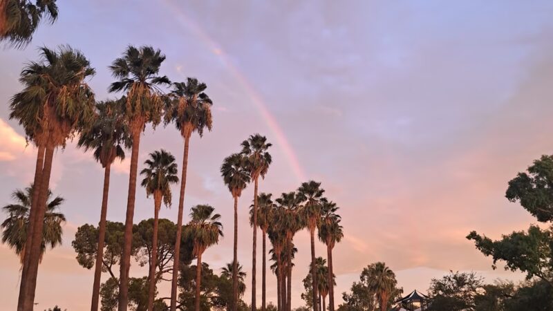 Tahoe Park - Tucson, AZ