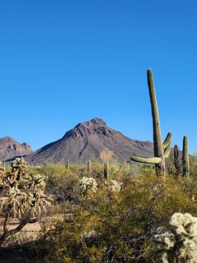 Tucson Mountain Park - Tucson, AZ