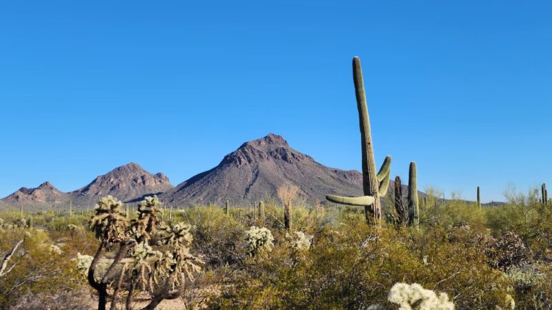 Tucson Mountain Park - Tucson, AZ