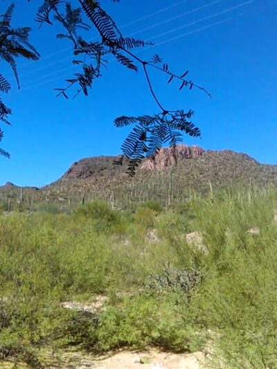 Tucson Mountain Park - Tucson, AZ