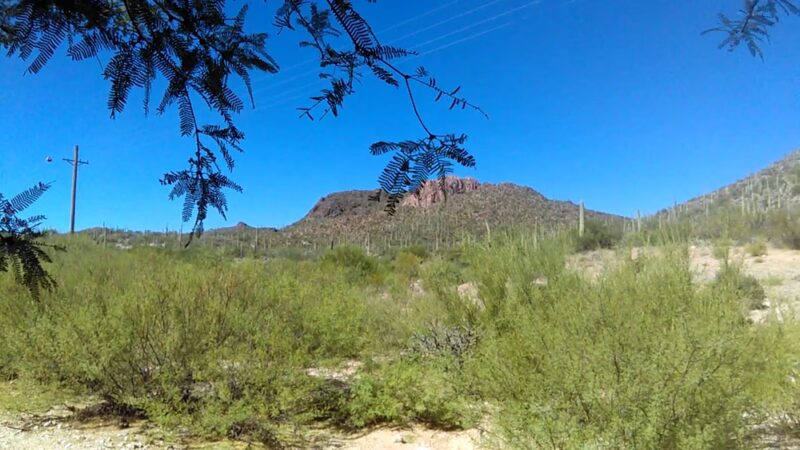 Tucson Mountain Park - Tucson, AZ