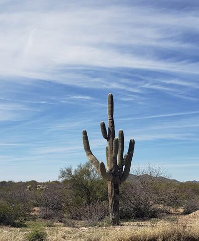 Vesey Park - Tucson, AZ