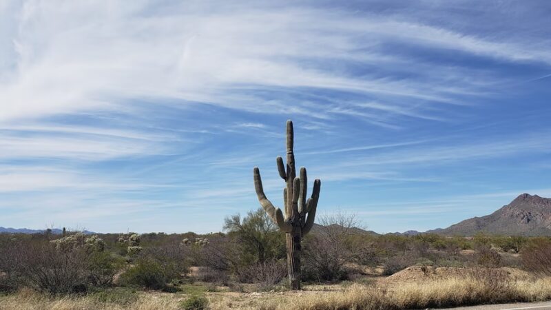 Vesey Park - Tucson, AZ