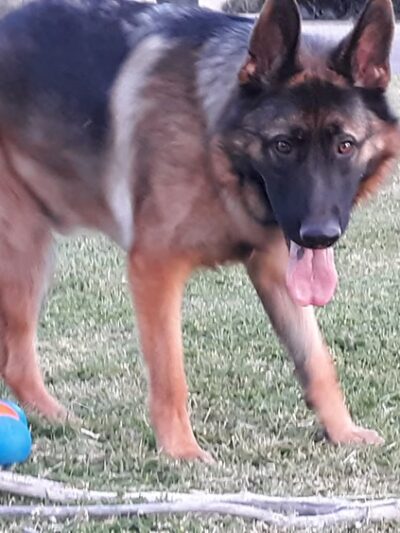 Villa Serena Park - Tucson, AZ