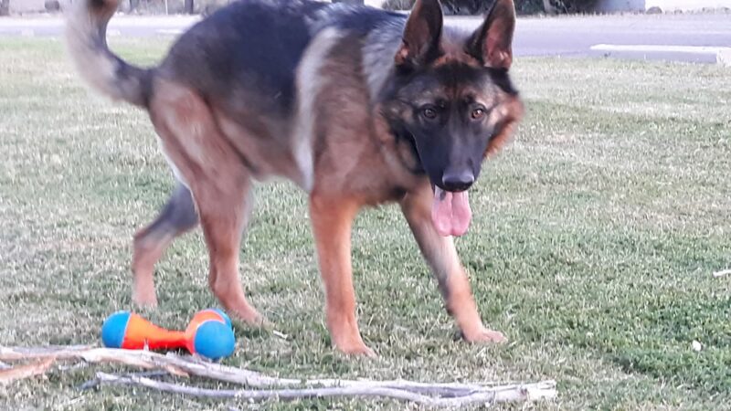 Villa Serena Park - Tucson, AZ