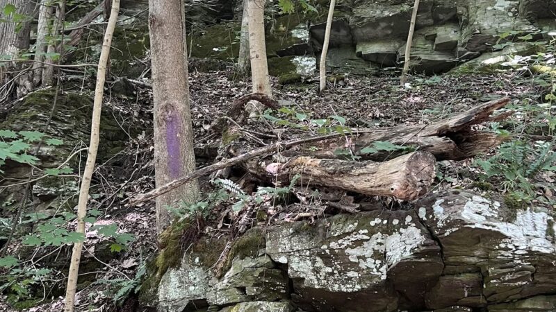 Iroquois Trail - Tunkhannock, PA