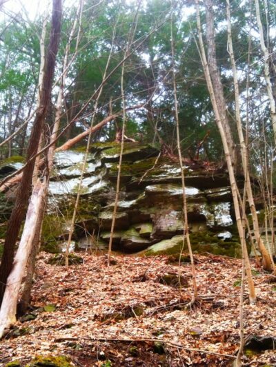 Iroquois Trail - Tunkhannock, PA