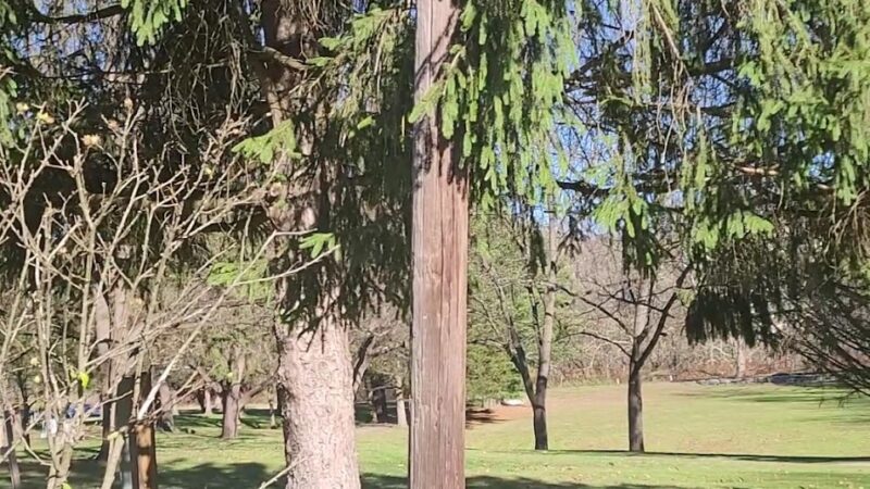 Lazybrook Park - Tunkhannock, PA