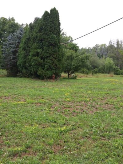 McCord Park - Tunkhannock, PA