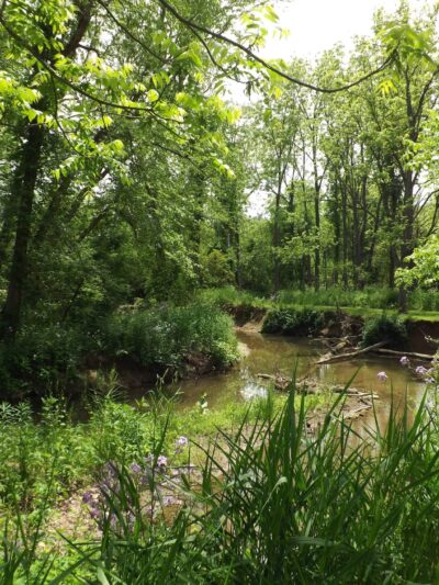 Warrior Run Trailways - Turbotville, PA