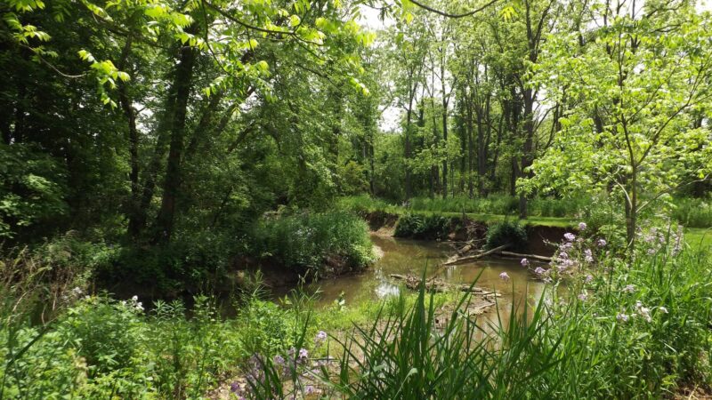 Warrior Run Trailways - Turbotville, PA