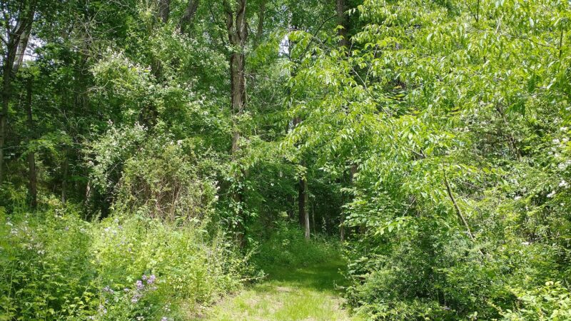 Warrior Run Trailways - Turbotville, PA
