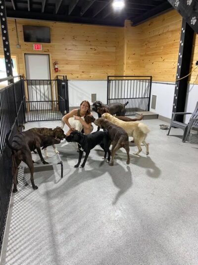 Unleashed Doggy Daycare - Turner, ME