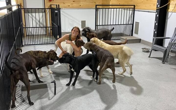 Unleashed Doggy Daycare - Turner, ME